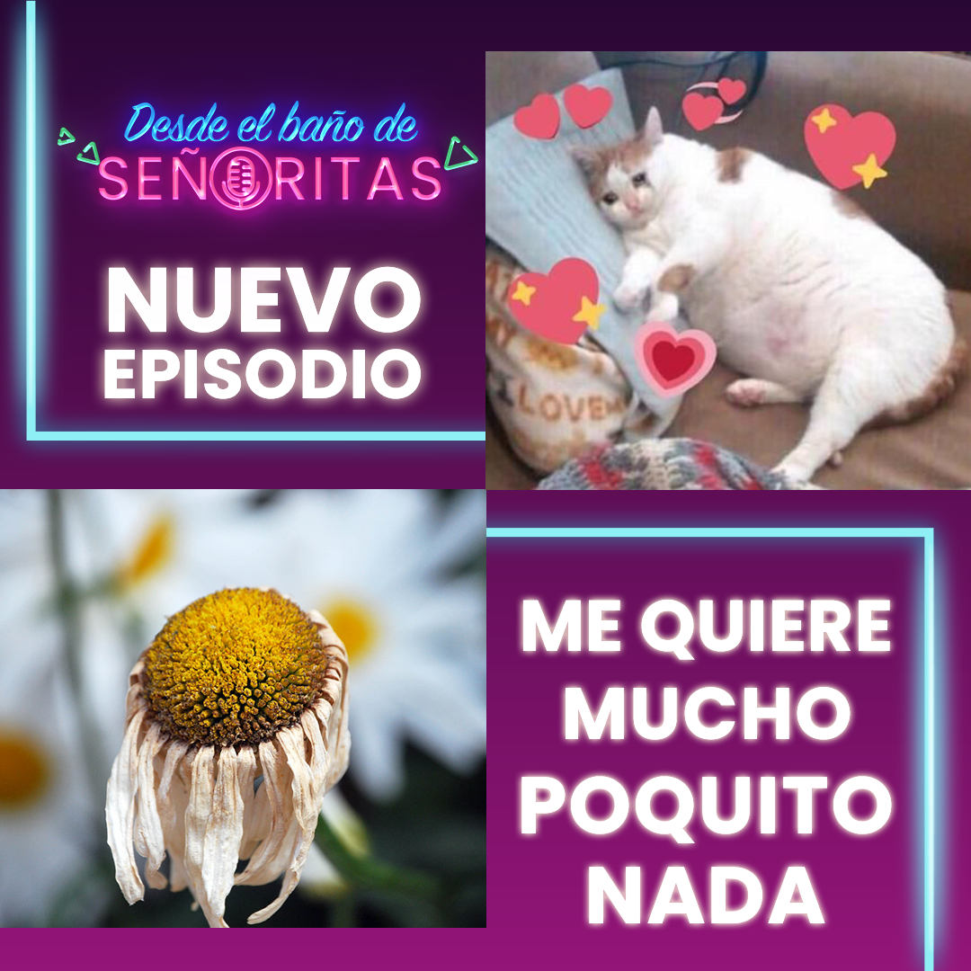 Desde el Baño de Señoritas
